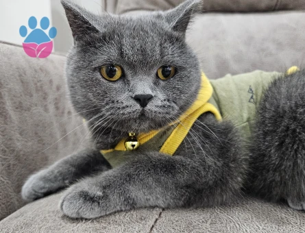 Acil erkek eş arıyoruz