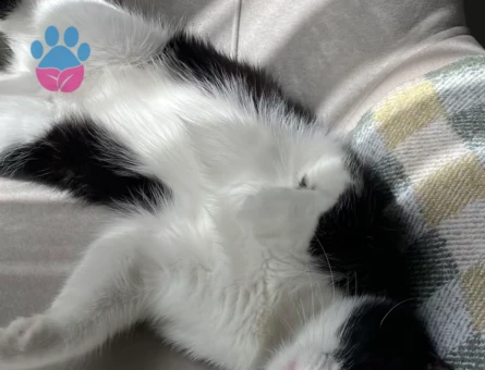 birtaneme eş arıyorum