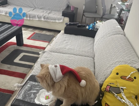 Oğlumuza Gelin Arıyoruz