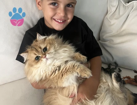 Kedim Şurup için aynı cins erkek eş arıyoruz