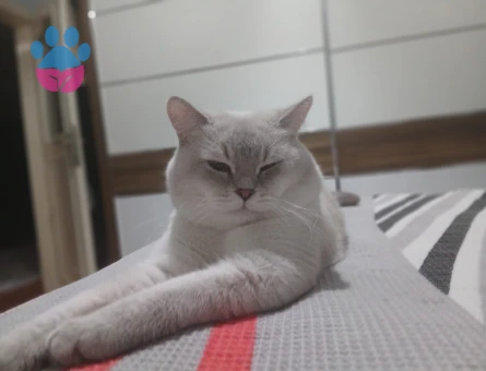 Yakışıklı oğlumuza eş arıyoruz ❤️