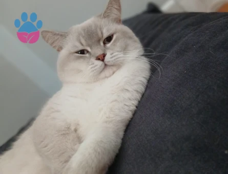 Yakışıklı oğlumuza eş arıyoruz ❤️