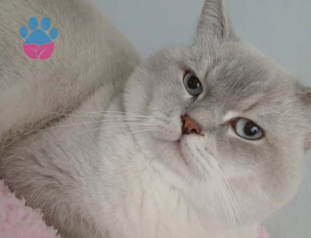 Yakışıklı oğlumuza eş arıyoruz ❤️