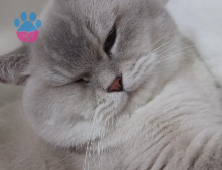 Yakışıklı oğlumuza eş arıyoruz ❤️