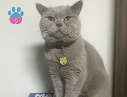 Oğluma eş arıyorum