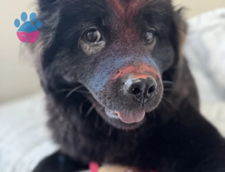 güzel kızım lilith