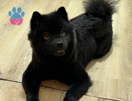 güzel kızım lilith