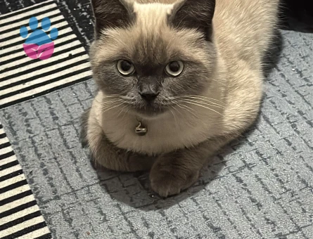 Oğlumuza Eş Arıyoruz