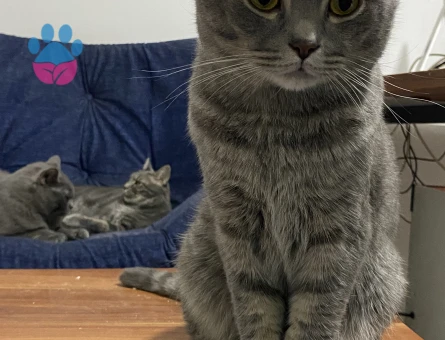 2 yaşında oğluşuma eş arıyoruz