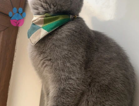 1.yaşınn 8 ay geçti