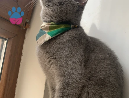 1.yaşınn 8 ay geçti