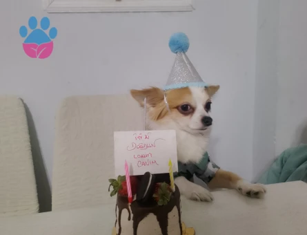 Erkeğimizen kız  arıyoruz