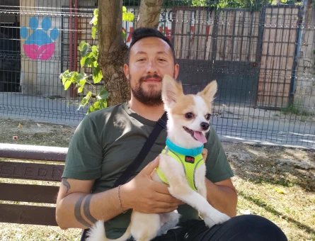 Erkeğimizen kız  arıyoruz