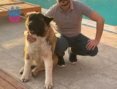 GÖZ BEBEĞİMİZE ERKEK ARKADAŞ ARIYORUZ