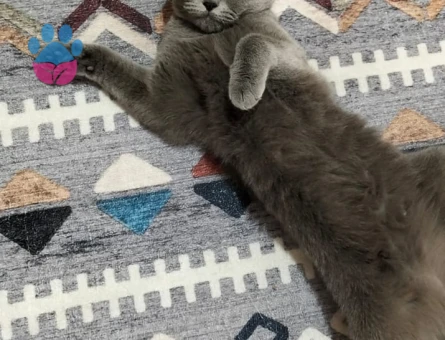 15 aylık kızımız