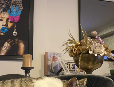 Eva’ya kısır eş