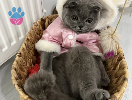 Güzel kızıma yakışıklı damat arıyorum(tıraşlı hali şuan güncel )