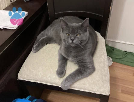 1 yaşındaki oğluma eş arıyorum