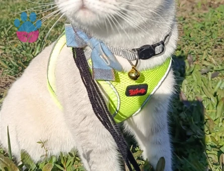 Eş arıyoruz