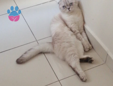 Tanem kızıma eş arıyoruz :)