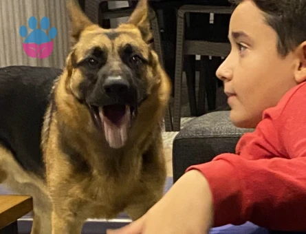 DİŞİ EŞ ARIYORUM