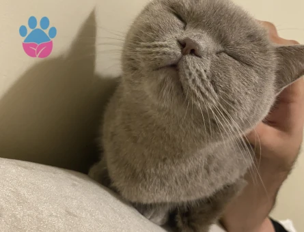 Kızıma eş arıyorum