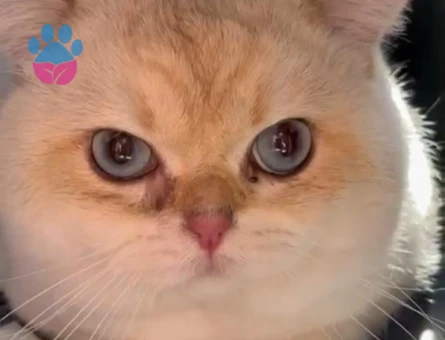 Çok tatlı tecrübeli oğlum