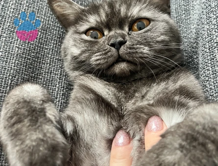 2 yaşındaki kızıma eş arıyorum