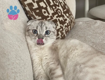 Buluta eş arıyoruz