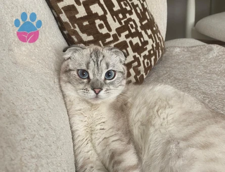 Buluta eş arıyoruz