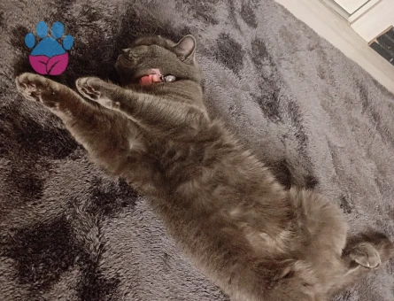 Kızıma Eş Arıyorum