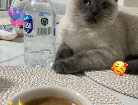 Kızımıza damat arıyoruz