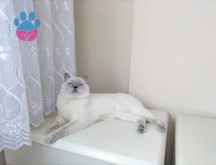 Bulutumuza Eş Arıyoruz