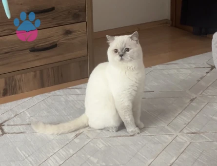 Bulutumuza Eş Arıyoruz