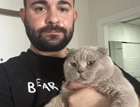 Scottish fold Oğlum 1 Yaşında Eş Arıyor - 118981441