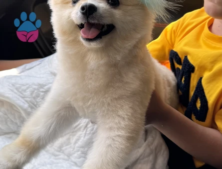 10 aylık Oğluma Eş Arıyorum