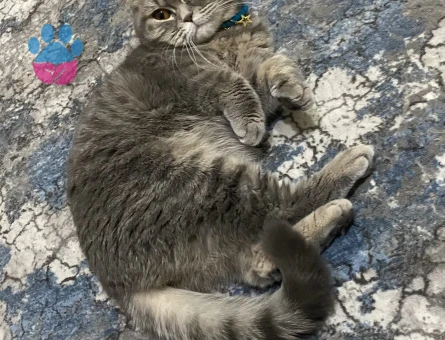 2 Yaşında Baby Eş Arıyoruz