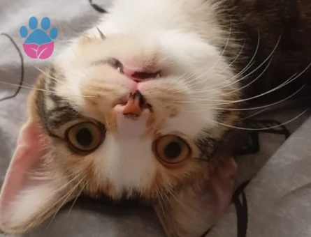 GÜZELİMİZE EŞ ARIYORUZ