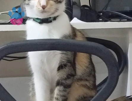 GÜZELİMİZE EŞ ARIYORUZ