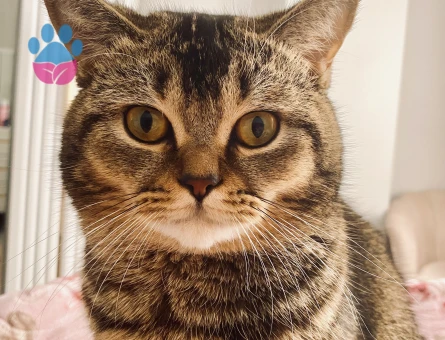 Oğluma eş arıyorum