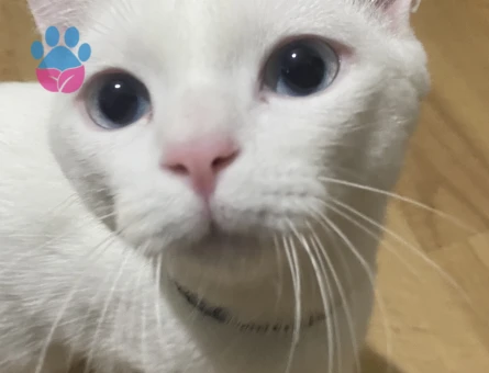 yakışıklı beyefendimize güzel bir hanımefendi arıyoruz