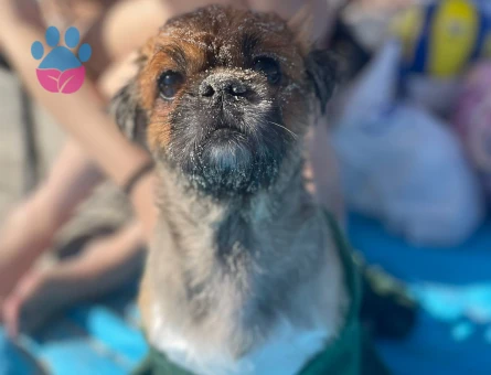 7 yaşındaki oğluma eş arıyorum