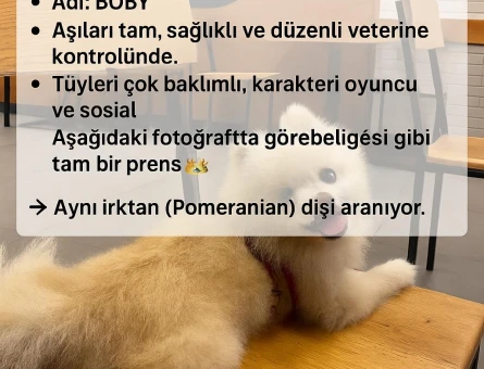 İstanbul - 118978974