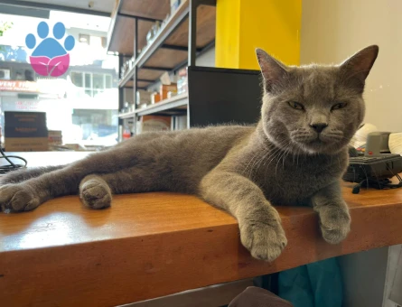 Yakışıklı Erkeğimize Eş Arıyoruz