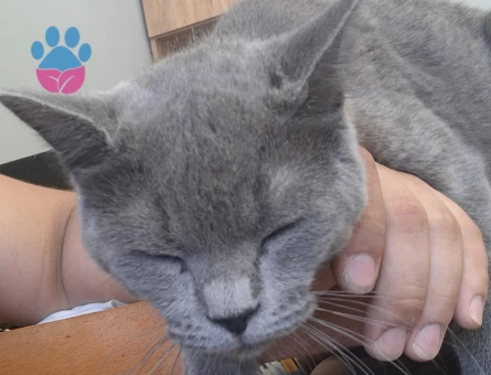 Yakışıklı Erkeğimize Eş Arıyoruz