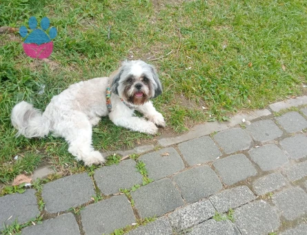 2 yaşında oğluma eş arıyorum