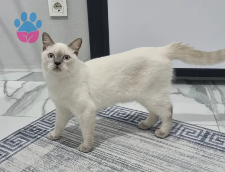 Yakışıklı oğlumuza acil eş aranıyor