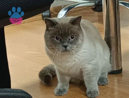 1 Yaşında Oğlumuza Eş Arıyoruz