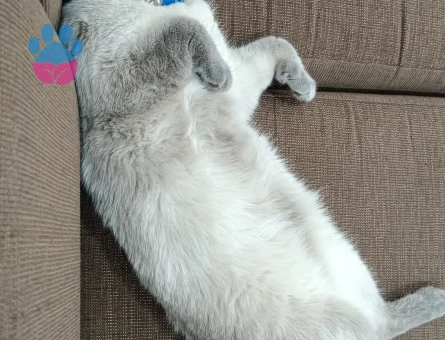 1 Yaşında Oğlumuza Eş Arıyoruz