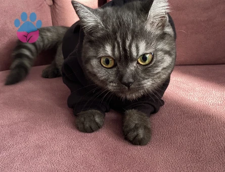 kızımız baliye eş arıyoruz